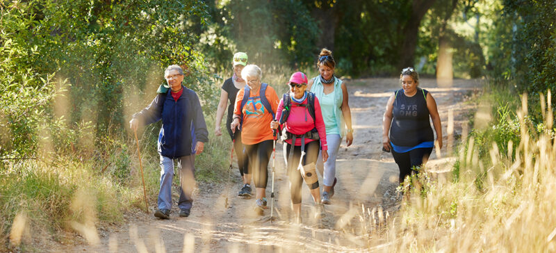 group of elderly hikers enjoying a walk